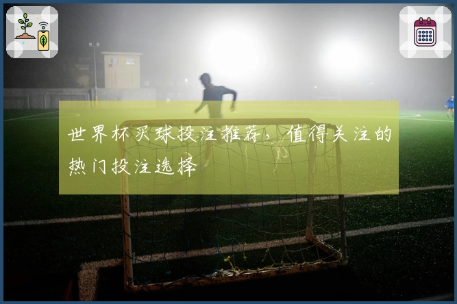 世界杯买球投注推荐，值得关注的热门投注选择