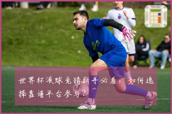 世界杯滚球竞猜新手必看，如何选择靠谱平台参与？