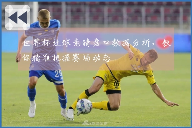 世界杯让球竞猜盘口数据分析，教你精准把握赛场动态