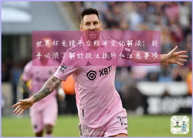 世界杯竞猜平台赔率变化解读：新手必须了解的投注技巧和注意事项