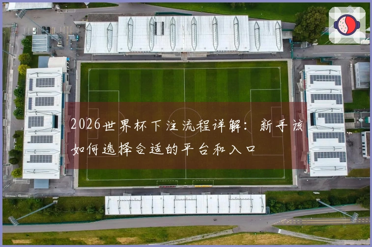 2026世界杯下注流程详解：新手该如何选择合适的平台和入口
