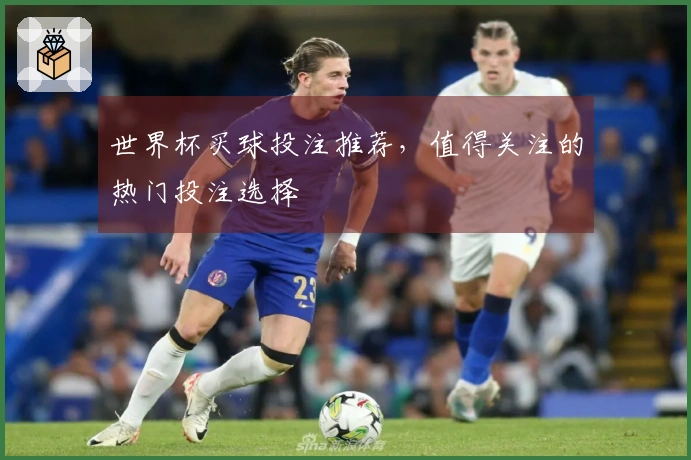 世界杯买球投注推荐，值得关注的热门投注选择