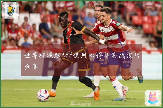 世界杯滚球APP使用心得与实战技巧分享